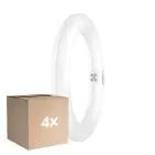 Lot 4x Osram Tube LED T9 Circulaire (EM/Direct 230V) 11W 1320lm - 840 Blanc Froid | Remplacement 22W